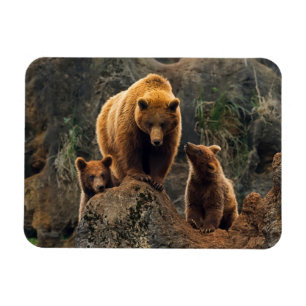Magnet Flexible Animaux de bébés cutest   Famille d'ours Brown