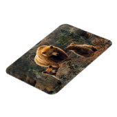 Magnet Flexible Animaux de bébés cutest | Famille d'ours Brown (Côté Gauche)