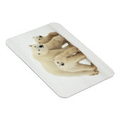 Magnet Flexible Animaux de bébés cutest | Famille d'ours polaires (Côté Droit)