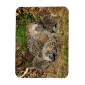 Magnet Flexible Animaux de bébés cutest | Famille Hérisson (Vertical)