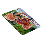 Magnet Flexible Animaux de bébés cutest | Fawn with Babies (Côté Droit)