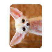 Magnet Flexible Animaux de bébés cutest | Fennec Fox (Vertical)