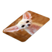 Magnet Flexible Animaux de bébés cutest | Fennec Fox (Côté Gauche)