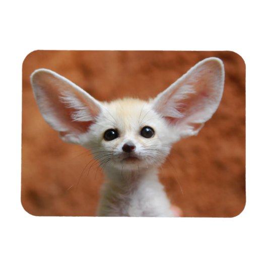 Magnet Flexible Animaux de bébés cutest | Fennec Fox Pup (Horizontal)