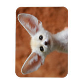 Magnet Flexible Animaux de bébés cutest | Fennec Fox Pup (Vertical)
