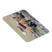Magnet Flexible Animaux de bébés cutest | Fox Pups en jeu (Côté Droit)