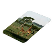 Magnet Flexible Animaux de bébés cutest | Giraffe Calf & Mama (Côté Gauche)