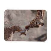 Magnet Flexible Animaux de bébés cutest | Giraffe mère et bébé (Horizontal)