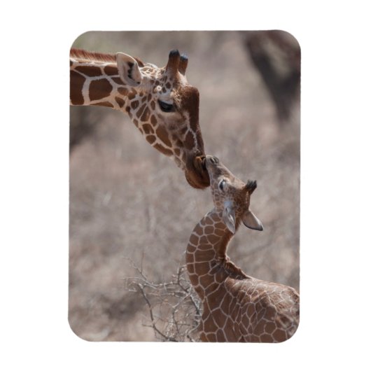 Magnet Flexible Animaux de bébés cutest | Giraffe mère et bébé (Vertical)