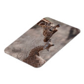 Magnet Flexible Animaux de bébés cutest | Giraffe mère et bébé (Côté Gauche)