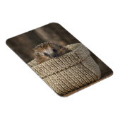 Magnet Flexible Animaux de bébés cutest | Hérisson dans un panier (Côté Droit)