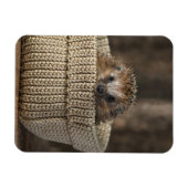 Magnet Flexible Animaux de bébés cutest | Hérisson dans un panier (Horizontal)