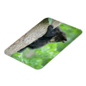 Magnet Flexible Animaux de bébés cutest | Jeune ours Ours Noir (Côté Gauche)