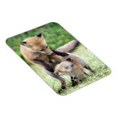 Magnet Flexible Animaux de bébés cutest | Kit et maman Fox adorabl (Côté Droit)