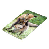 Magnet Flexible Animaux de bébés cutest | Kit et maman Fox adorabl (Côté Gauche)