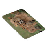 Magnet Flexible Animaux de bébés cutest | Lion Cub & Mother (Côté Droit)