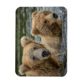 Magnet Flexible Animaux de bébés cutest | Mama Bear & Her Cubs (Vertical)