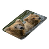 Magnet Flexible Animaux de bébés cutest | Mama Bear & Her Cubs (Côté Gauche)