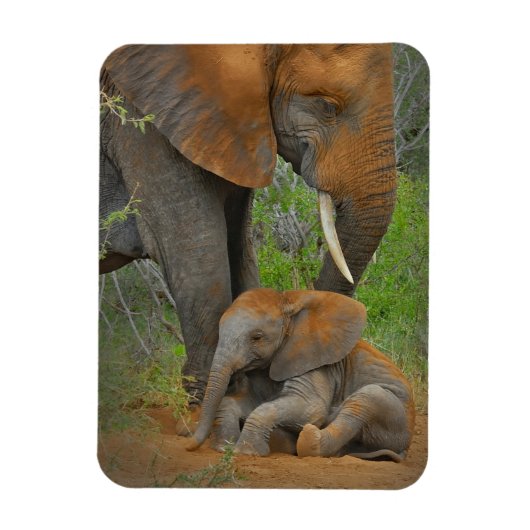 Magnet Flexible Animaux de bébés cutest | Mama Elephant & Baby (Vertical)