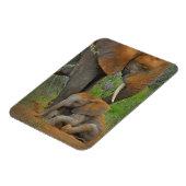 Magnet Flexible Animaux de bébés cutest | Mama Elephant & Baby (Côté Gauche)