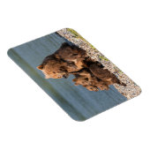 Magnet Flexible Animaux de bébés cutest | Mère Ours & Cubs (Côté Droit)