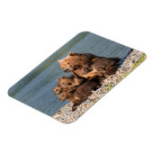 Magnet Flexible Animaux de bébés cutest | Mère Ours & Cubs (Côté Gauche)