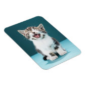 Magnet Flexible Animaux de bébés cutest | Mewing Baby Kitten (Côté Droit)