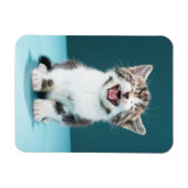 Magnet Flexible Animaux de bébés cutest | Mewing Baby Kitten (Horizontal)