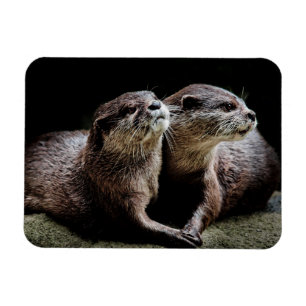 Magnet Flexible Animaux de bébés cutest   Otters tenant les mains