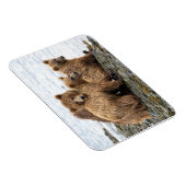 Magnet Flexible Animaux de bébés cutest | Ours et oursons (Côté Droit)