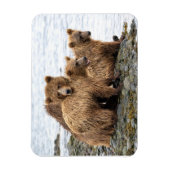 Magnet Flexible Animaux de bébés cutest | Ours et oursons (Vertical)