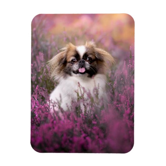 Magnet Flexible Animaux de bébés cutest | Pekingese Puppy (Vertical)