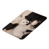 Magnet Flexible Animaux de bébés cutest | Pile de marionnettes (Côté Gauche)