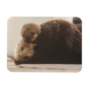 Magnet Flexible Animaux de bébés cutest   Pompe Otter nouveau-né