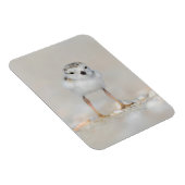 Magnet Flexible Animaux de bébés cutest | Poussette de tuyauterie (Côté Droit)