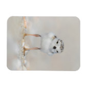 Magnet Flexible Animaux de bébés cutest | Poussette de tuyauterie (Horizontal)