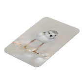 Magnet Flexible Animaux de bébés cutest | Poussette de tuyauterie (Côté Gauche)