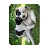 Magnet Flexible Animaux de bébés cutest | Remorque (Vertical)