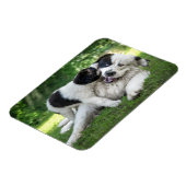 Magnet Flexible Animaux de bébés cutest | Remorque (Côté Gauche)