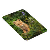 Magnet Flexible Animaux de bébés cutest | Renard rouge à Umnak Ala (Côté Droit)
