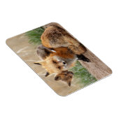 Magnet Flexible Animaux de bébés cutest | Renard rouge et bébé (Côté Droit)