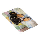 Magnet Flexible Animaux de bébés cutest | Shy Old English Bulldog (Côté Droit)