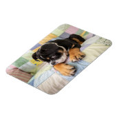 Magnet Flexible Animaux de bébés cutest | Shy Old English Bulldog (Côté Gauche)