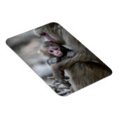 Magnet Flexible Animaux de bébés cutest | Singe et bébé japonais (Côté Droit)