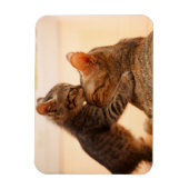 Magnet Flexible Animaux de bébés cutest | Tabby Kitten Kiss (Vertical)