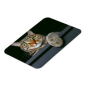 Magnet Flexible Animaux de bébés cutest | Tête de chat gris Tabby (Côté Gauche)