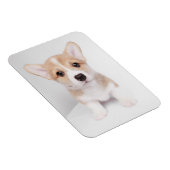 Magnet Flexible Animaux de bébés cutest | Tiny Corgi (Côté Droit)