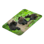 Magnet Flexible Animaux de bébés cutest | Trois jeunes petits ours (Côté Gauche)
