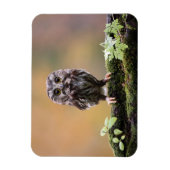 Magnet Flexible Animaux de bébés cutest | Un hibou-bébé (Vertical)