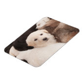 Magnet Flexible Animaux de bébés cutest | Un mignon seau de chiots (Côté Gauche)